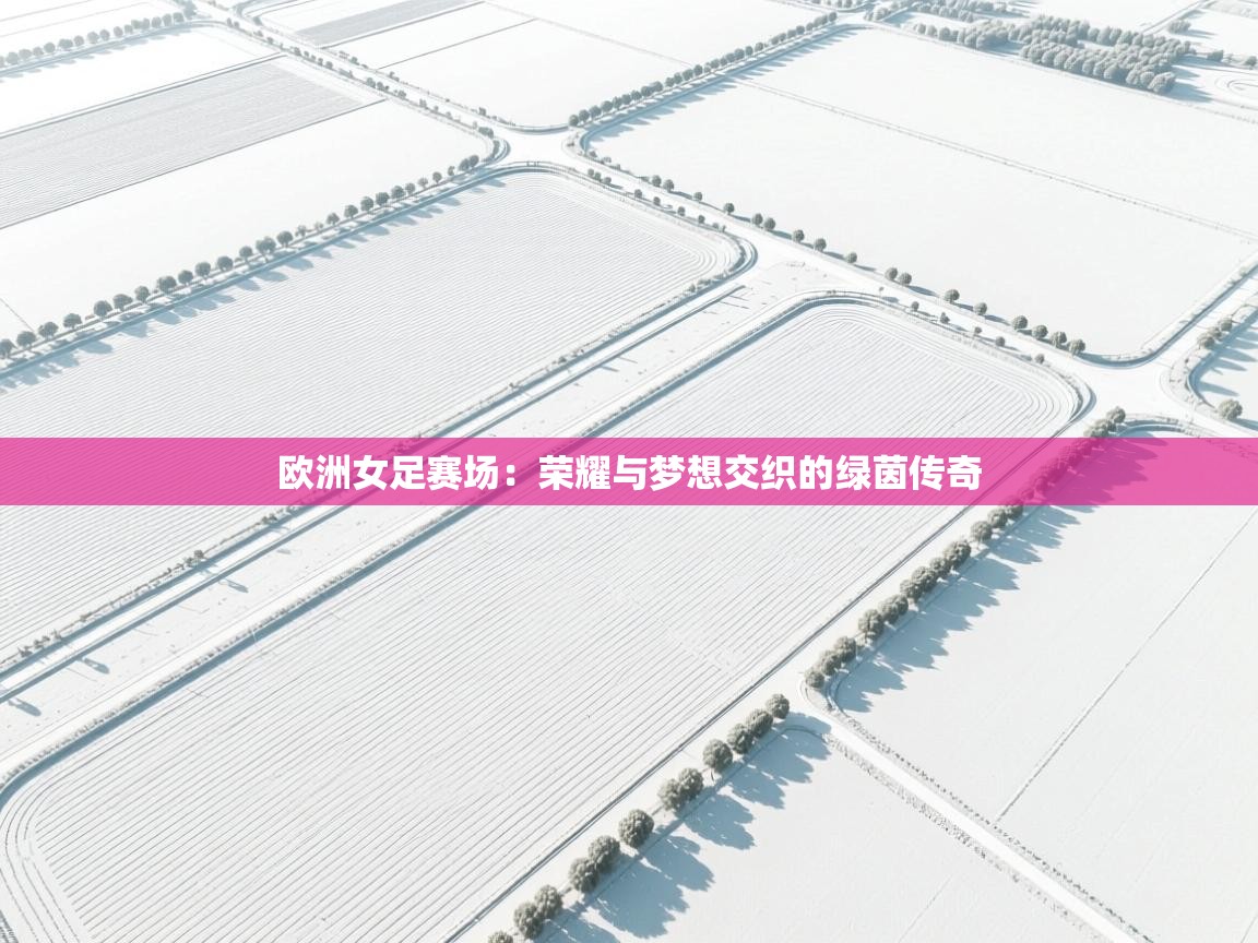 欧洲女足赛场：荣耀与梦想交织的绿茵传奇
